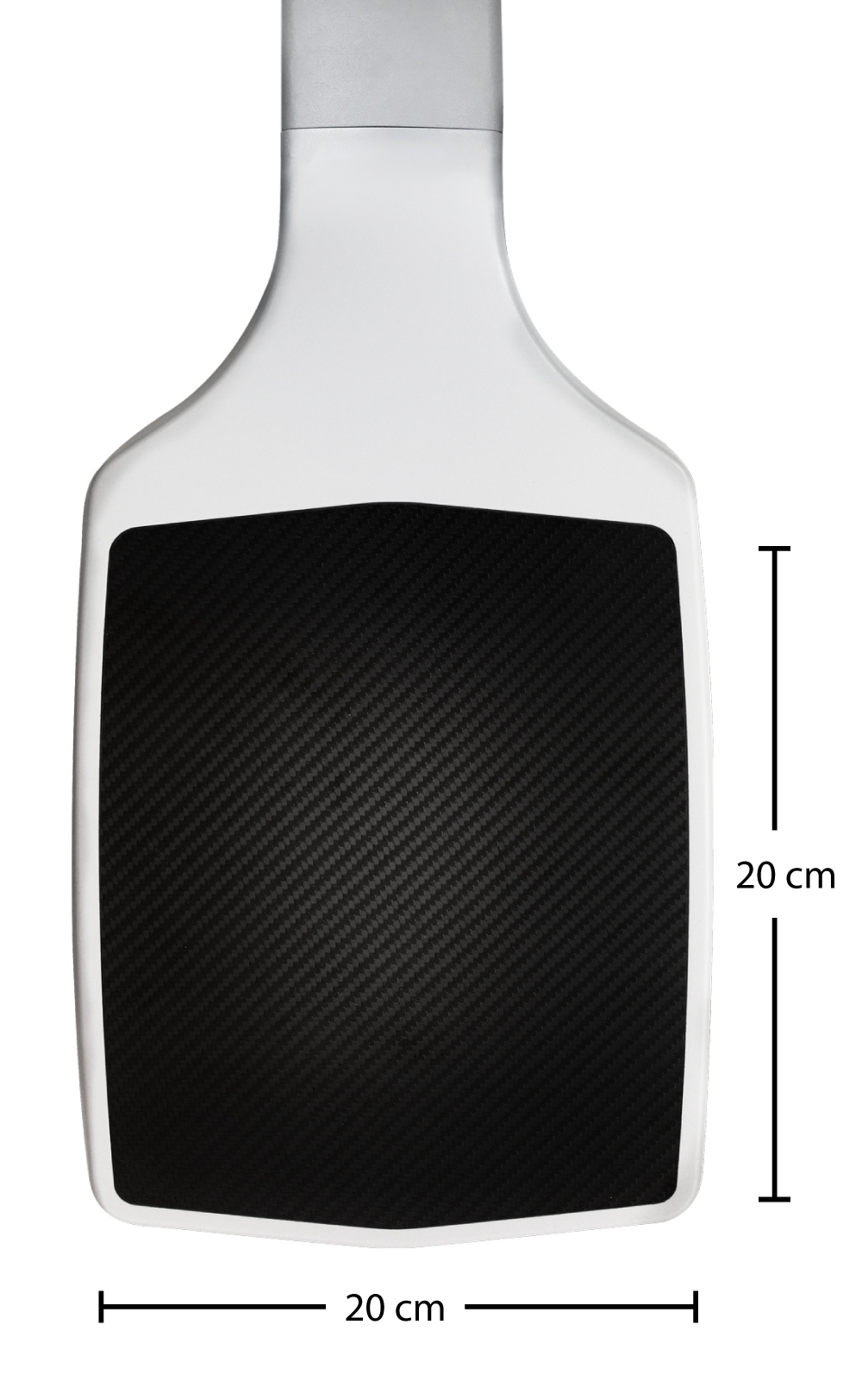 The Detector plate showing sizes of 20cm square