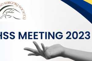 <strong>Irish Hand Surgery Society Annual Meeting 2023</strong>